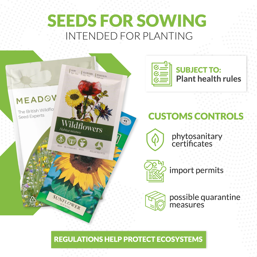 seeds for sowing 
